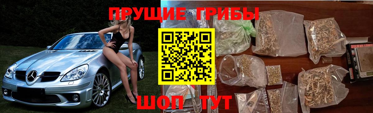 Галлюциногенные грибы мицелий Пушкино